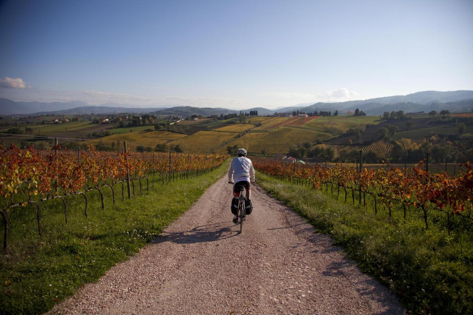 Apartmán Agriturismo Bio Tra Cielo E Terra Grutti Exteriér fotografie