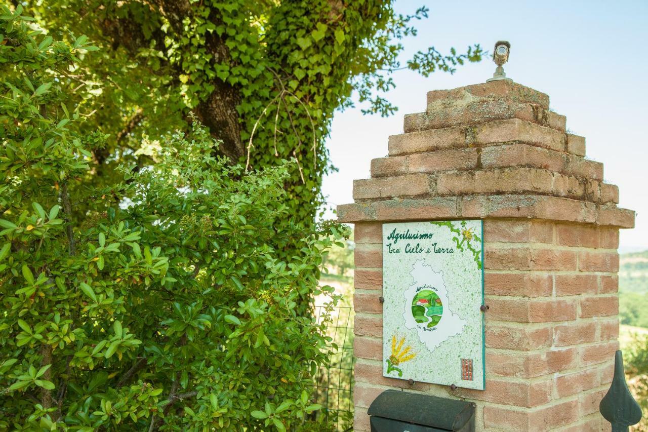 Apartmán Agriturismo Bio Tra Cielo E Terra Grutti Exteriér fotografie